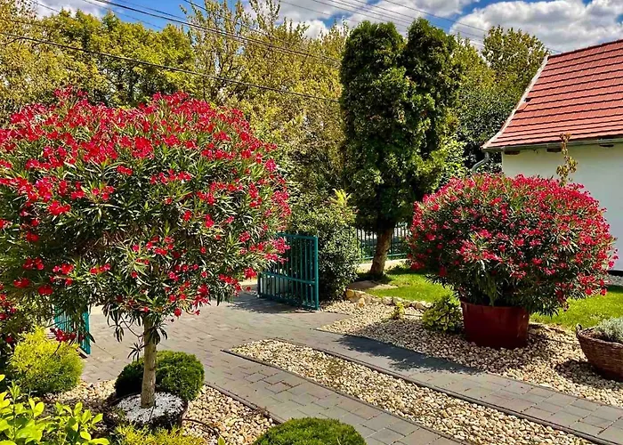 Voelgyhid Vintage Apartament *